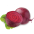 Remolacha