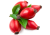Escaramujo