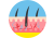 Piel